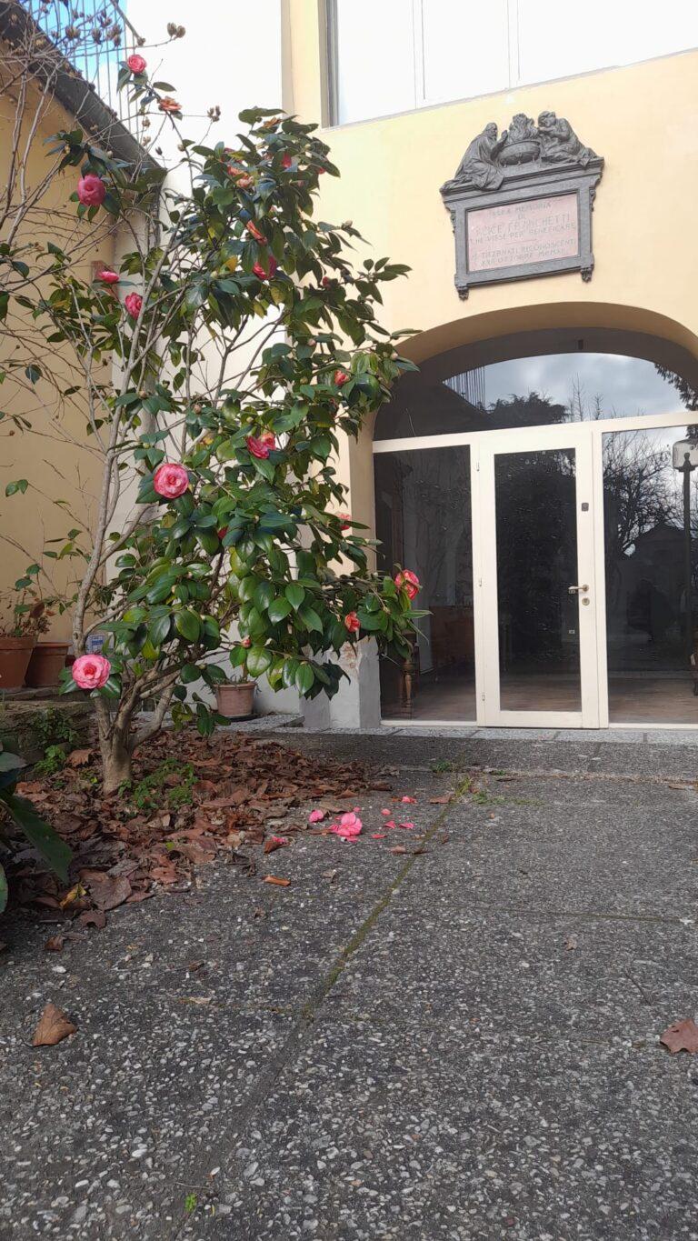 La “camelia” che fiorisce ogni anno nel ricordo di Aldo Riguccini, “De Rigu” che 25 anni fa la donò alle donne di Tela Umbra