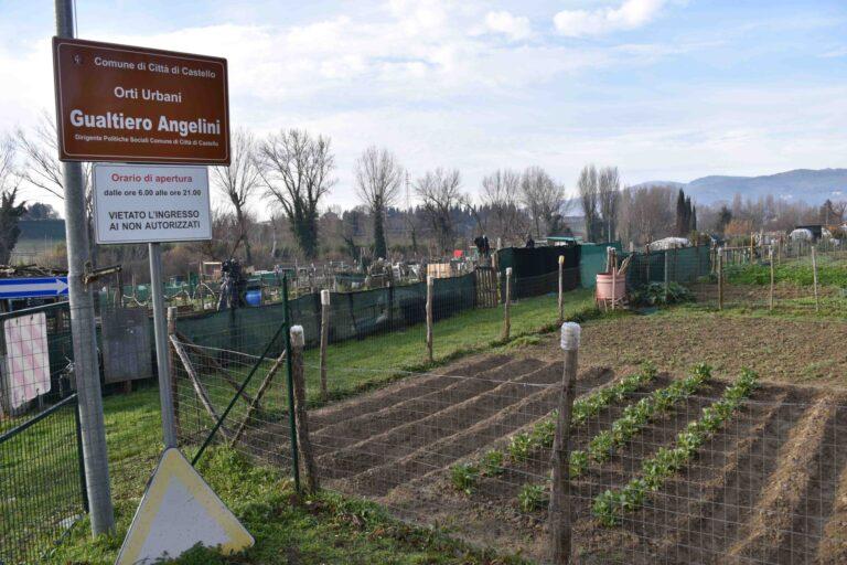 Orti “solidali”: al via a Città di Castello un innovativo progetto di agricoltura sociale dove anziani, pensionati e persone con disabilità condividono esperienze in comune