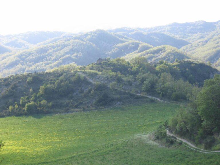 Giornata di studio “La Baronia di Monte Ruperto – Origini e vicende storiche dell’enclave Umbra nel territorio delle Marche”, sabato 25 maggio 2024 ore 10:00 nella sala del Consiglio Comunale di Città di Castello