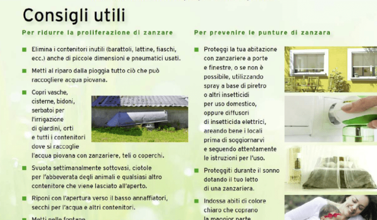 Zanzare, interventi larvicidi in città. Ordinanza per descrivere le buone pratiche da adottare nelle pertinenze private