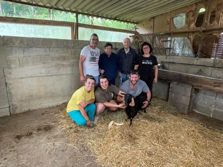 Scomparsa ad inizio mese finalmente la capretta “Nerina” è stata ritrovata
