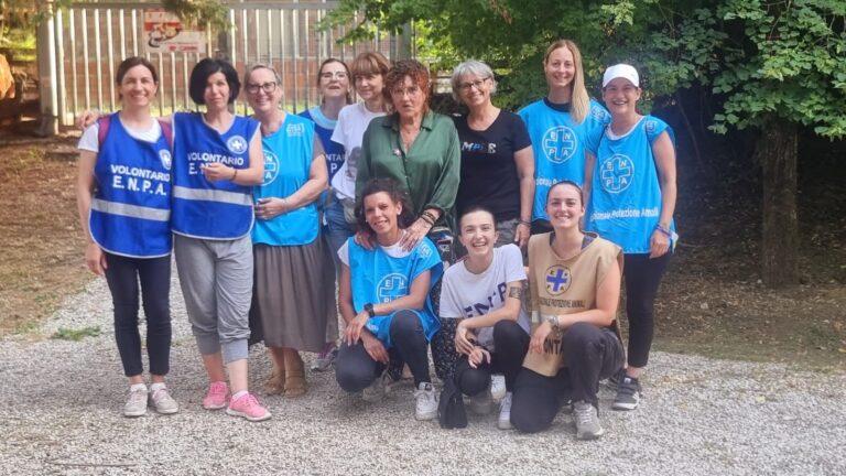 “Una domenica al canile”: nonostante il caldo torrido c’è chi per una volta ha deciso di rinunciare al mare, ai monti o ad un tuffo in piscina per stare accanto agli amici “pelosi” in cerca di famiglia