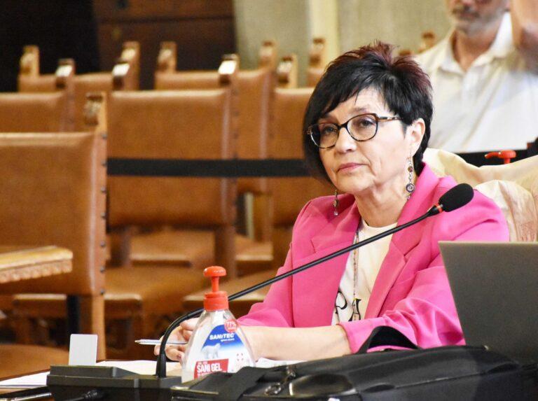 Strada provinciale numero 104, località Breccione-Trestina: interrogazione della consigliera comunale, Emanuela Arcaleni (Castello Cambia)