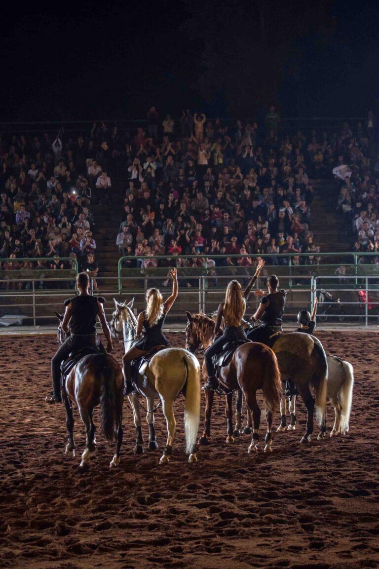 Sabato 7 e domenica 8 settembre la Mostra Nazionale del Cavallo torna protagonista a Città di Castello
