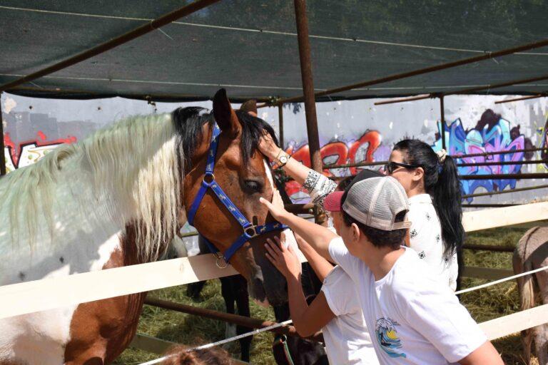 Gran caldo per l’apertura della Mostra Zootecnica