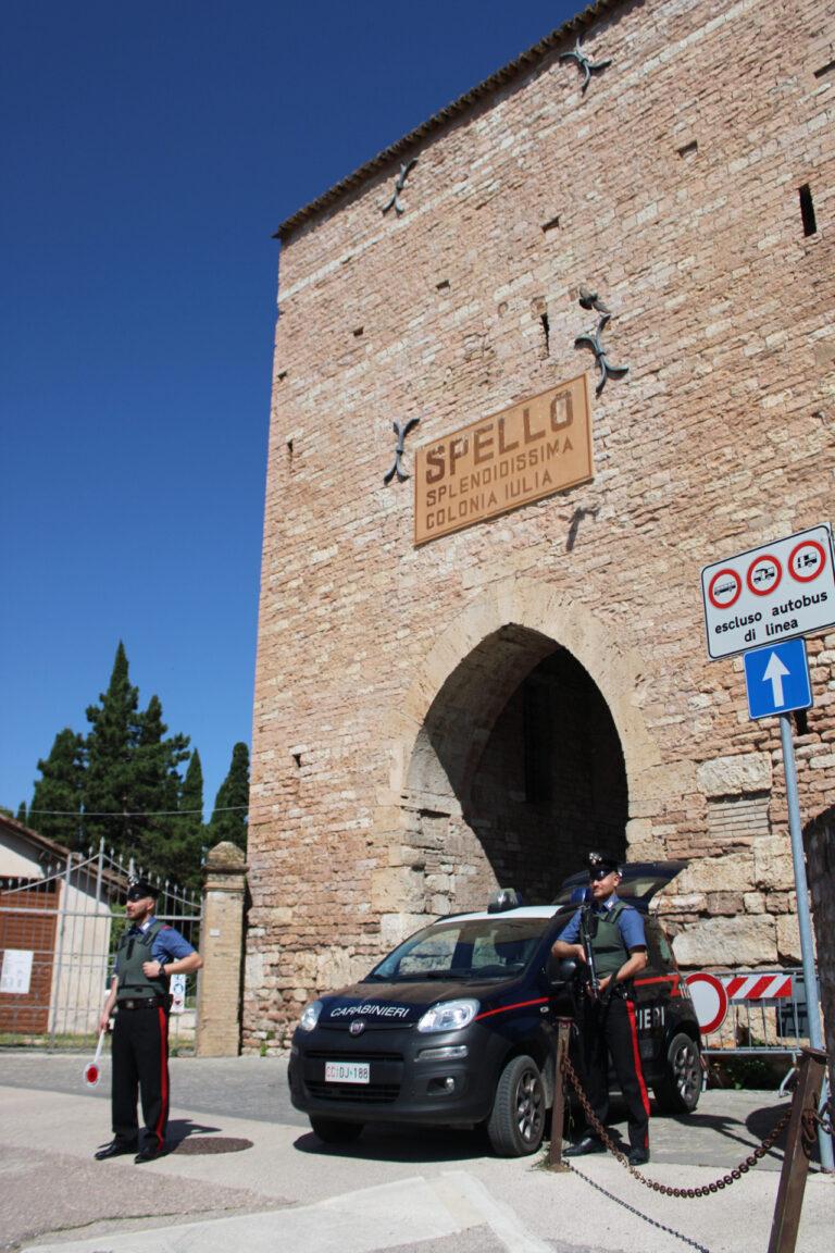 Spello: furto di piante tartufigene, due persone denunciate