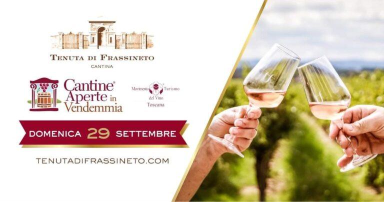 “Cantine aperte in vendemmia” alla Tenuta di Frassineto. Domenica 29 settembre è prevista una visita immersiva ai vigneti e alle cantine nel periodo più atteso dell’anno. Il pomeriggio si concluderà con un pittoresco picnic