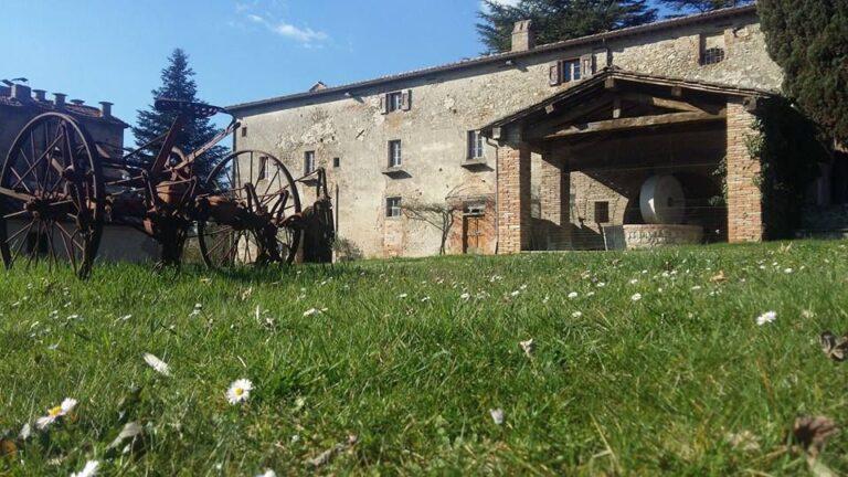 Domenica 3 Novembre “Truffle Hunting and Tasting” al Centro delle Tradizioni Popolari.