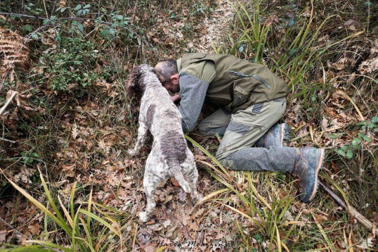 Cavatori e cani “binomio” vincente da secoli nella ricerca del tartufo. Ai nastri di partenza della 44esima edizione del Salone Nazionale del Tartufo Bianco Pregiato