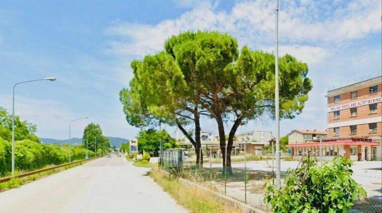 Al via i lavori per la nuova rotatoria sulla S.S. Tiberina
