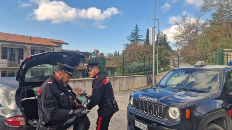 Gubbio: inseguimento durante un tentativo di furto in abitazione, banda di ladri messa in fuga