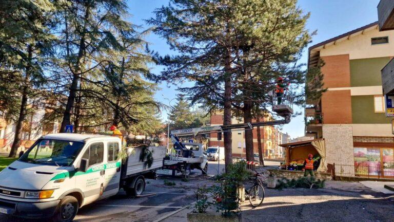 Umbertide: al via la potatura degli alberi in piazza Marx e via Morandi