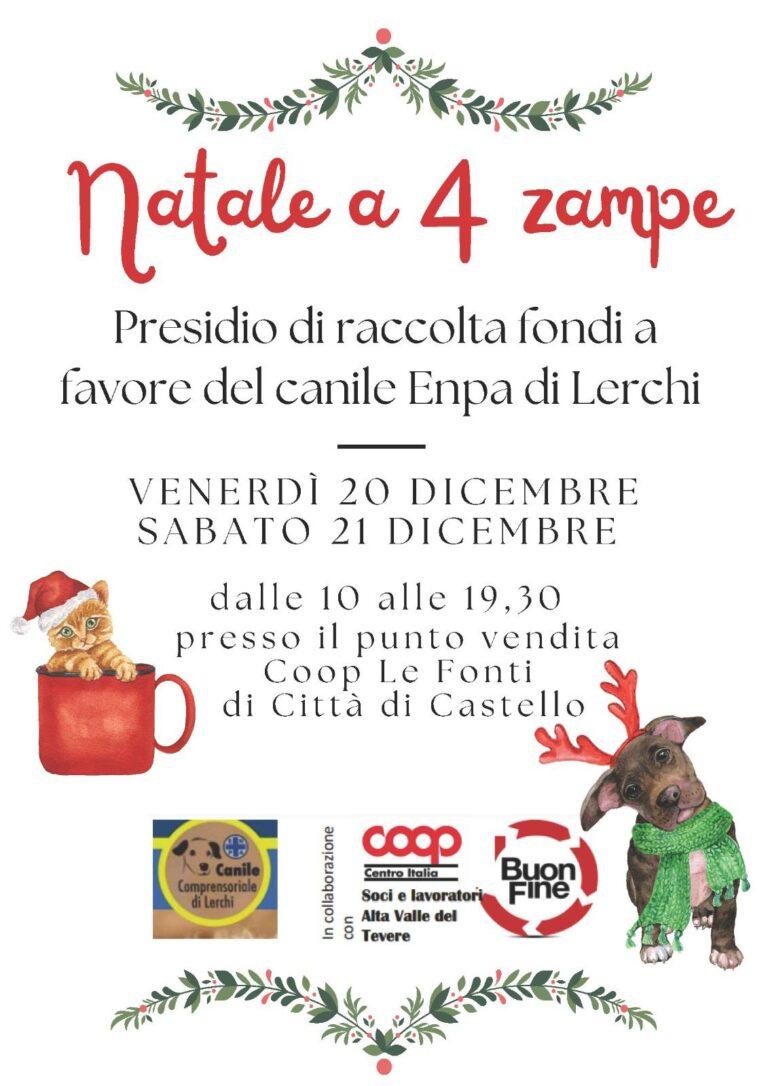 Natale a “quattrozampe” raccolta fondi per il canile di Lerchi presso Coop “Le Fonti” venerdì 20 e sabato 21 Dicembre dalle ore 10 alle 19,30