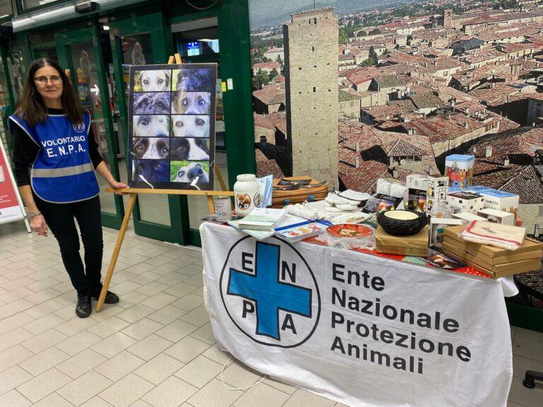 Natale e salvaguardia degli animali: week end a “quattrozampe” all’insegna della solidarietà e amore per cani e gatti.