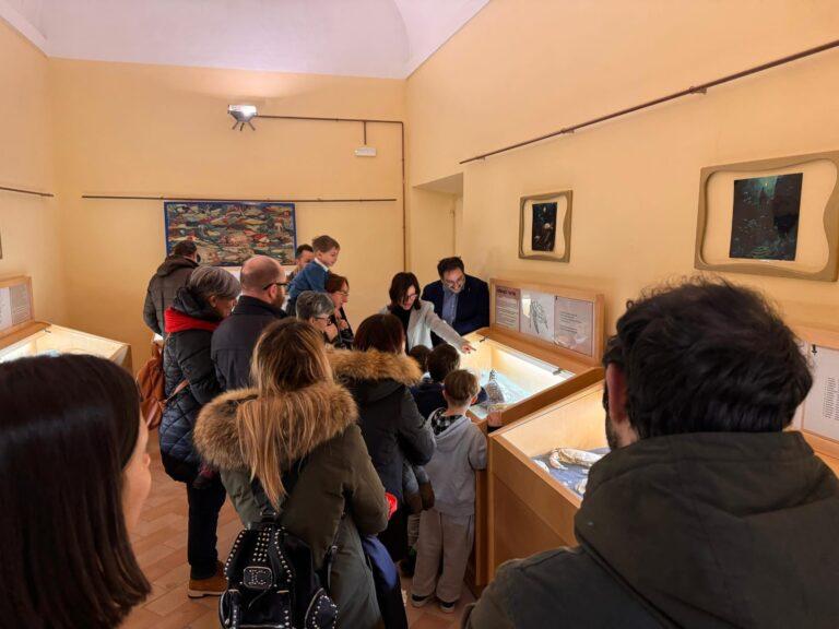 Dalle conchiglie alle tartarughe. E’ stato inaugurato ieri presso il Museo di Scienze Naturali Malakos un corner dedicato alle tartarughe marine