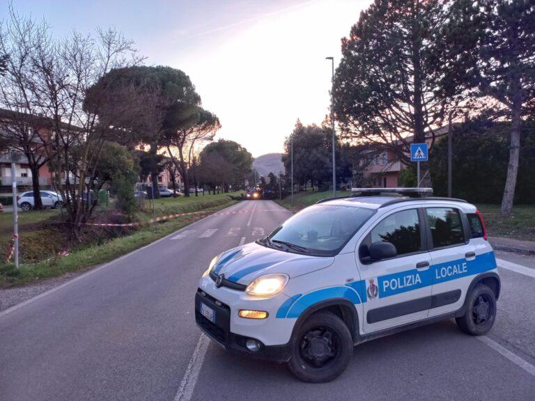 Polizia Locale e Vigili del Fuoco impegnati in vari interventi causa forte vento