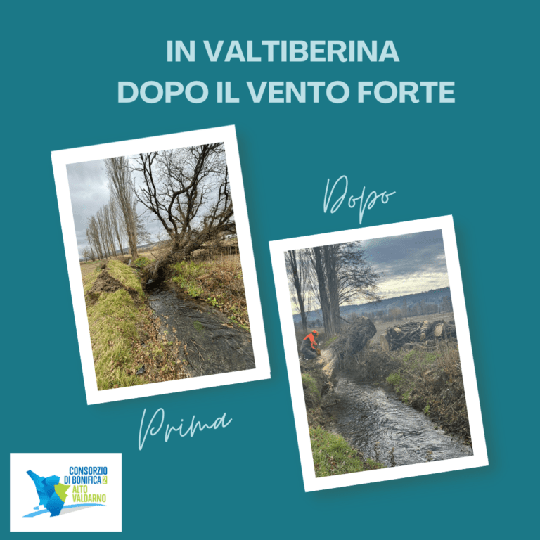 Via dai fiumi le piante abbattute dal vento “killer” per ripristinare il regolare deflusso della corrente: interventi in Valtiberina ed in particolar nelle località Motina, San Leo e Ponte alla Piera e comune di Anghiari