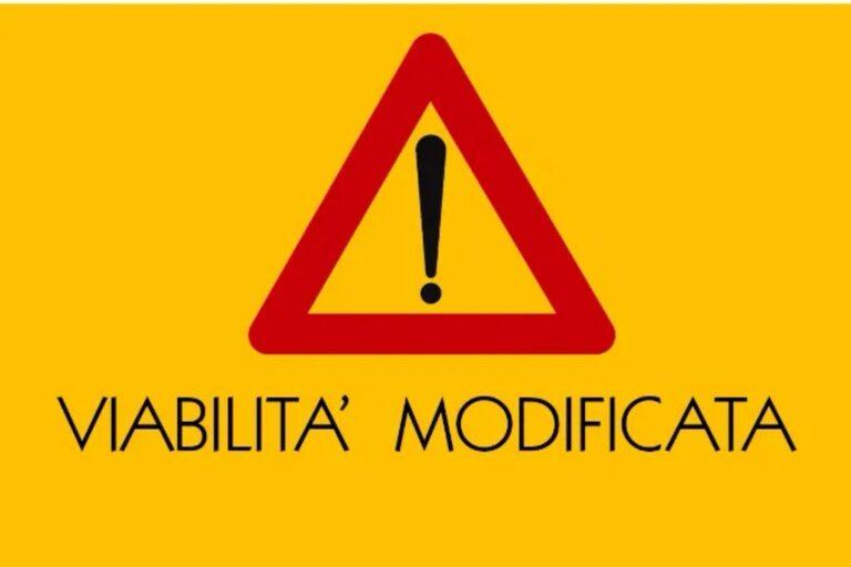 Viabilità – Da lunedì lavori di potatura piante lungo varie strade provinciali. Le modifiche al traffico