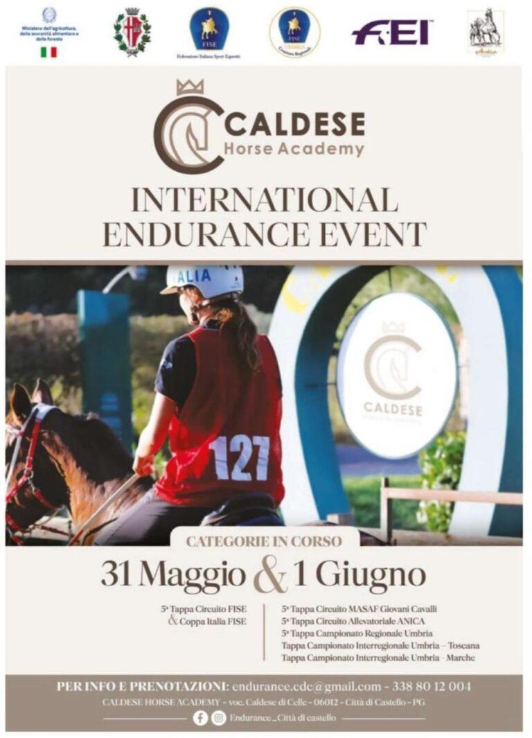 Sport equestri, a Città di Castello International endurance event. La presentazione martedì 20 maggio alle 11 nella sala consiliare comunale