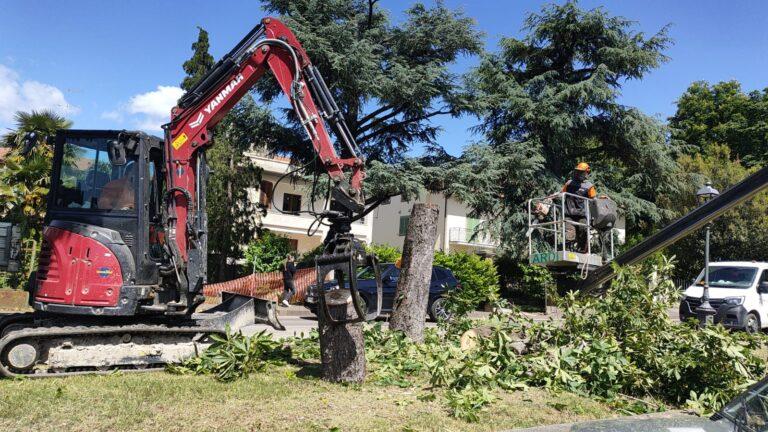 Forte vento nella notte a Sansepolcro, danni al patrimonio arboreo