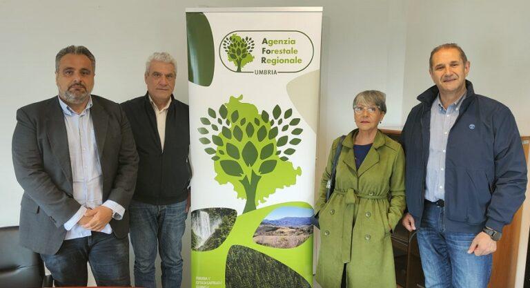 UNESCO – Un Patrimonio Culturale Immateriale: AFoR, strategie di valorizzazione tutela e divulgazione del patrimonio tartuficolo