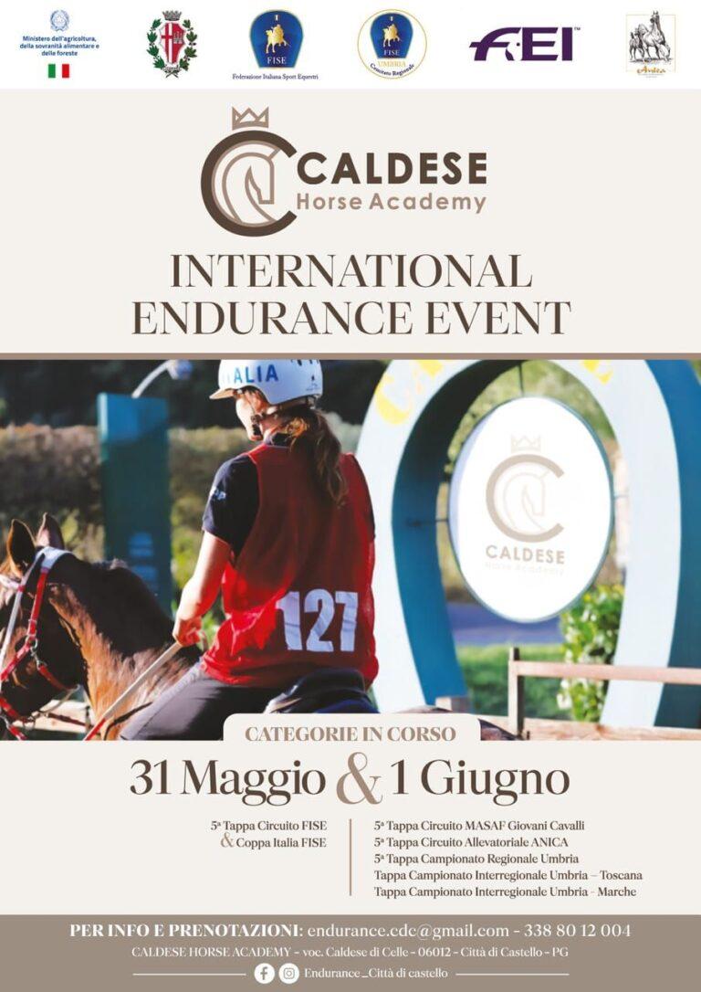 Sport equestri, a Città di Castello International endurance event al Caldese Horse Academy il 31 maggio e 1° giugno
