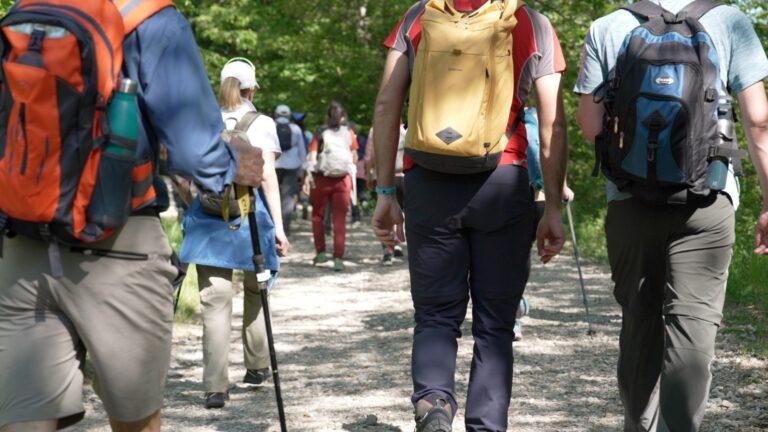 Festival dei Cammini di Francesco, gli eventi serali fanno tappa in Umbria