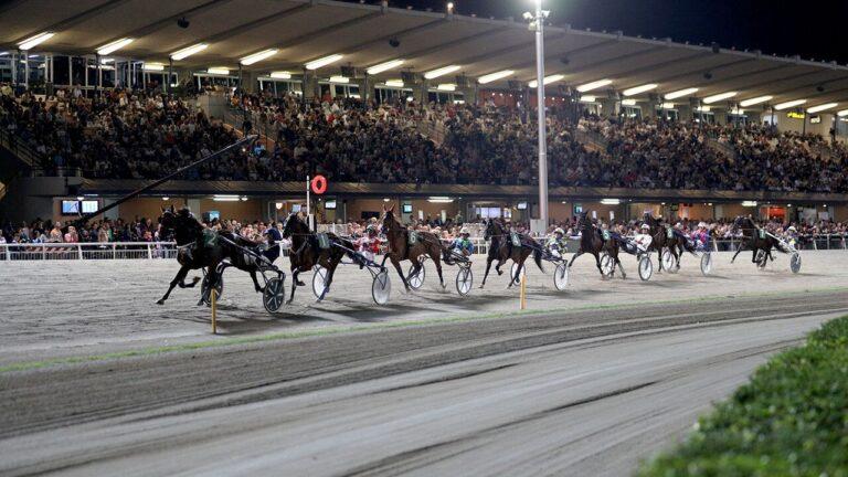 Cavalli in pista. Nozze “d’oro” fra Cesena, il suo ippodromo, Città di Castello e la Mostra Nazionale del Cavallo