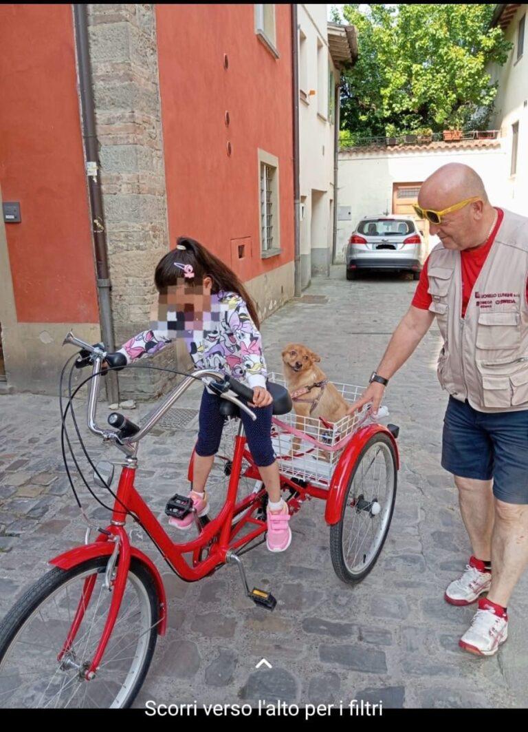 Ladri senza cuore: rubata bici triciclo di due bambine, il nonno lancia appello sui social “chi l’ha presa si metta una mano nel cuore e la restituisca”