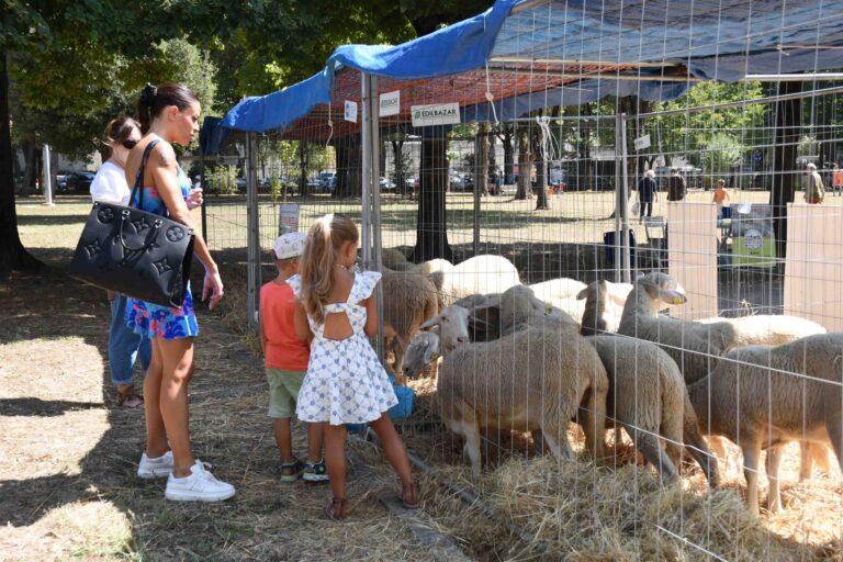 A Città di Castello confermata la Fiera di San Bartolomeo, con la Mostra Zootecnica, dal 22 al 24 agosto