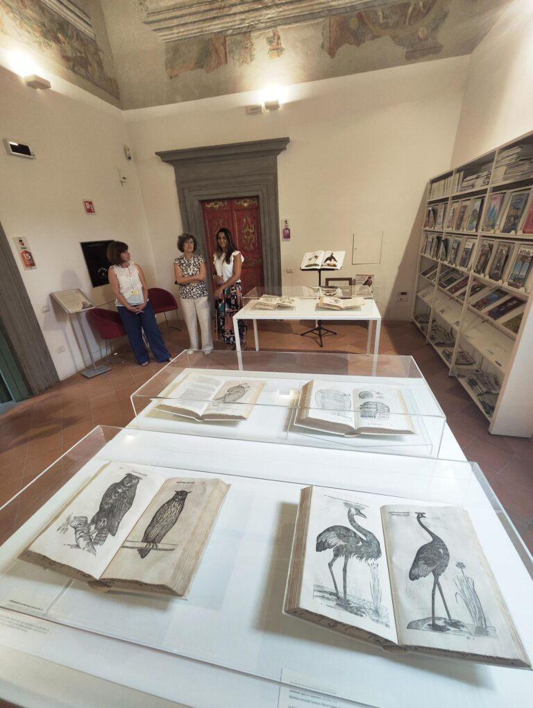 Fino al 13 settembre alla Carducci “Scienza e natura nel mondo di Ulisse Aldrovandi”