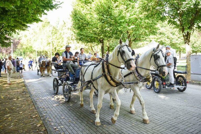 Sabato 13 e domenica 14 settembre a Città di Castello la 55^ Mostra Nazionale del Cavallo