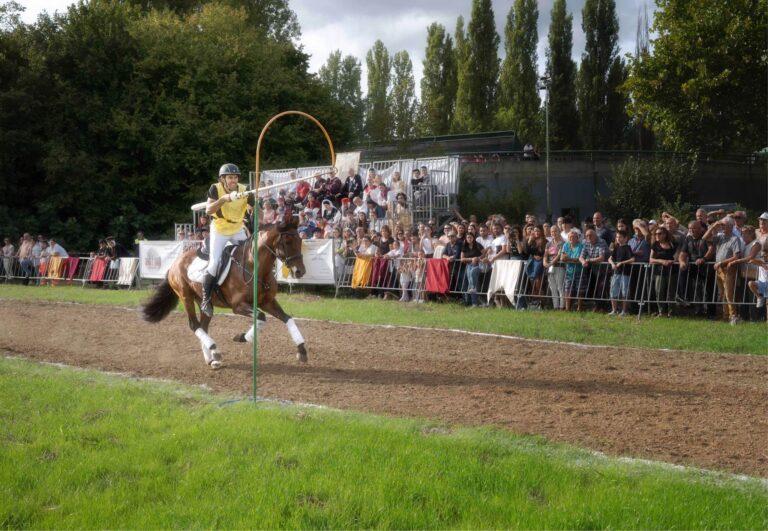 Mostra Nazionale del Cavallo: chiusa la 55esima edizione con successo