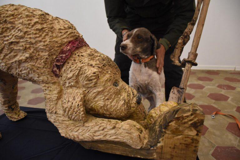Città di Castello, capitale del tartufo celebra i cani, straordinari protagonisti della cerca del prezioso tubero con una scultura in legno