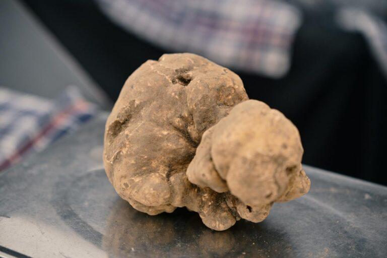 Tutti pazzi per la “trifola” dal profumo inebriante e gusto irresistibile per una stagione ricca di eccellenze agroalimentare