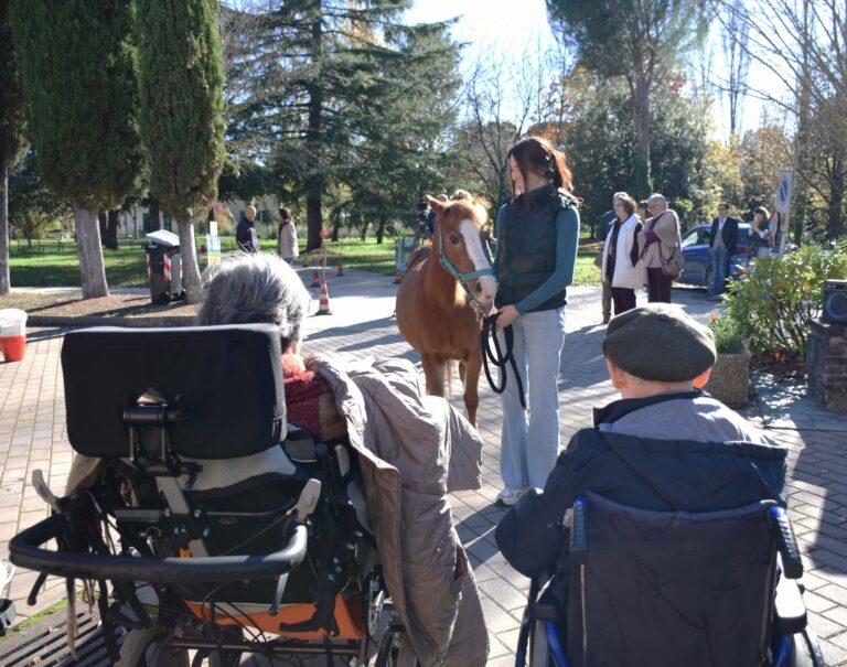 Nour e Red due pony a portata di carezze, contatti e amorevoli sguardi nel parco della residenza protetta