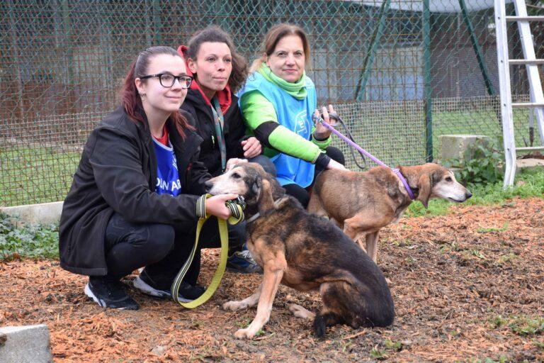Piccoli alberi e verde fra i box del canile: lezione di buone pratiche a “quattrozampe” per gli alunni della scuola primaria di Lerchi
