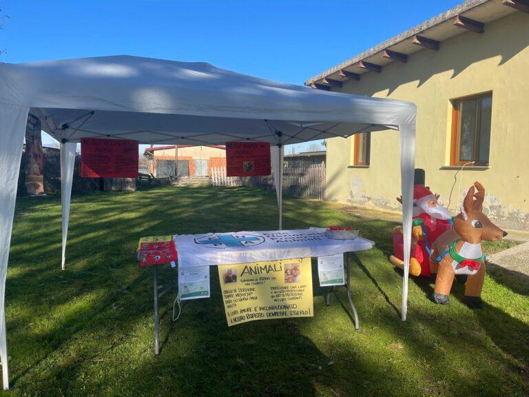 Open Day al Canile Sanitario di Lerchi – Ieri domenica 23 novembre mattinata dedicata ai bambini e al rispetto degli animali