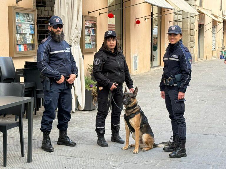 Natale e Capodanno: controlli della polizia locale per tutto il periodo delle festività in centro storico con due agenti che presidieranno le vie con maggiore afflusso