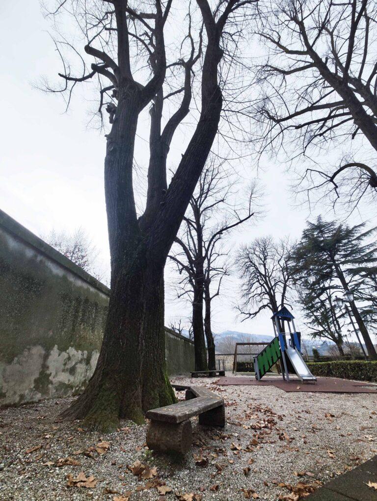 L’area giochi dei giardini del Cassero sarà interdetta per consentire l’abbattimento della chioma di un tiglio malato