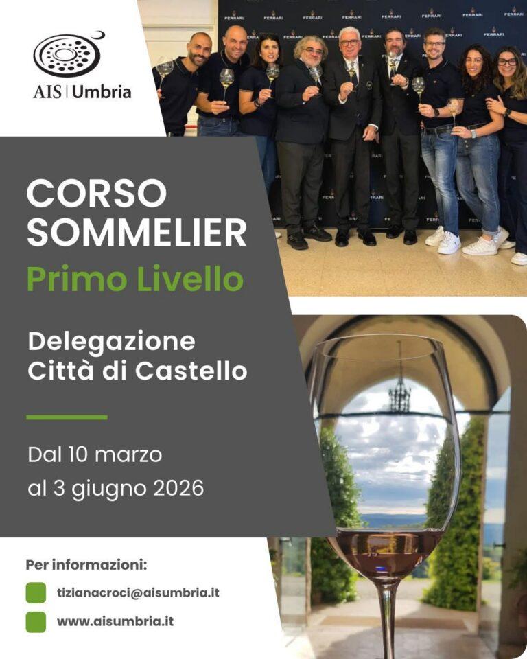 AIS Umbria presenta il Corso Primo Livello a Città di Castello: un viaggio nel mondo del vino