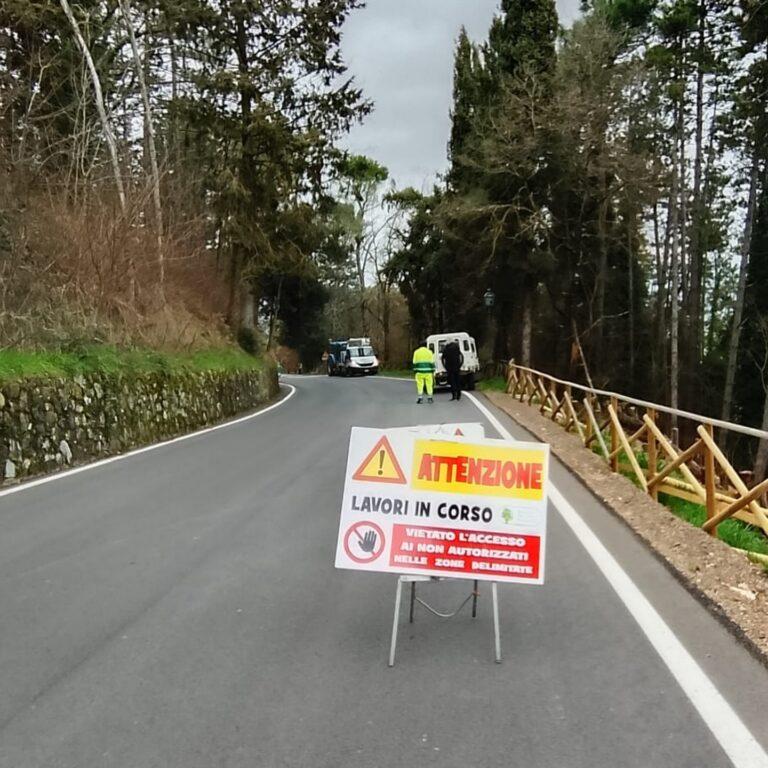 Citerna, al via i lavori di riqualificazione del verde urbano con fondi regionali