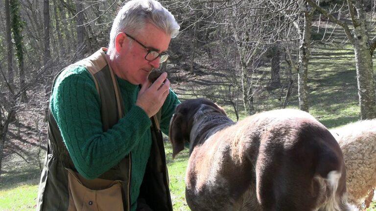 Giuliano Tartufi a Report: Martinelli racconta “serietà e impegno” del “mestiere più bello del mondo”