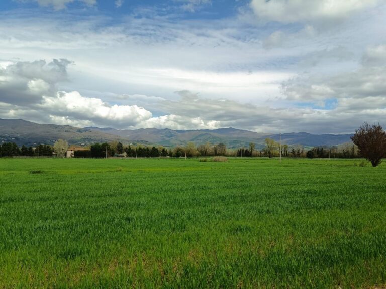 Variante Ciapanella, i cittadini di Gricignano: “Servono garanzie scritte, non rassicurazioni”