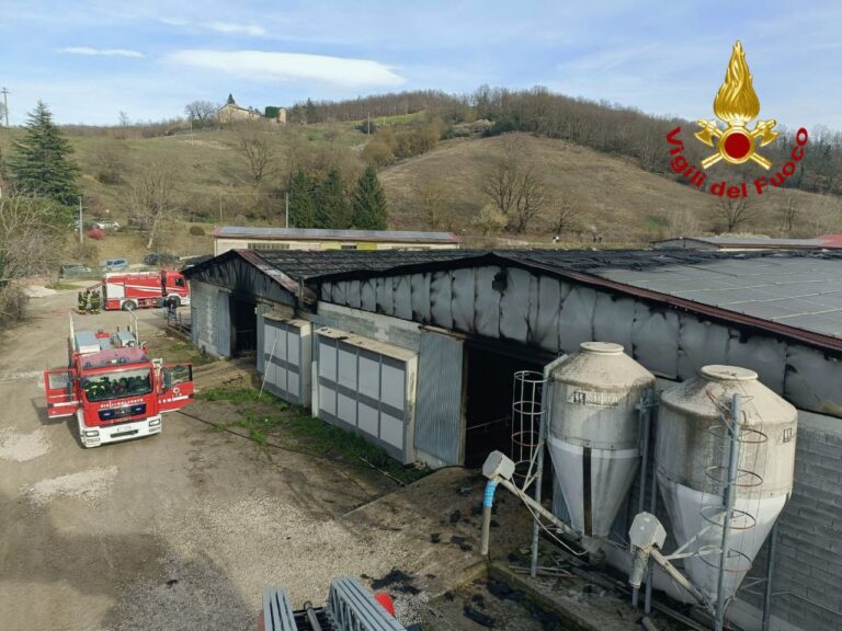 Incendio in una stalla a Spedalicchio di Umbertide: morti alcuni bovini