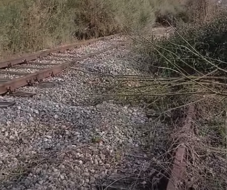 Pierantonio, binari abbandonati nella zona industriale: il caso della FCU riaccende il dibattito