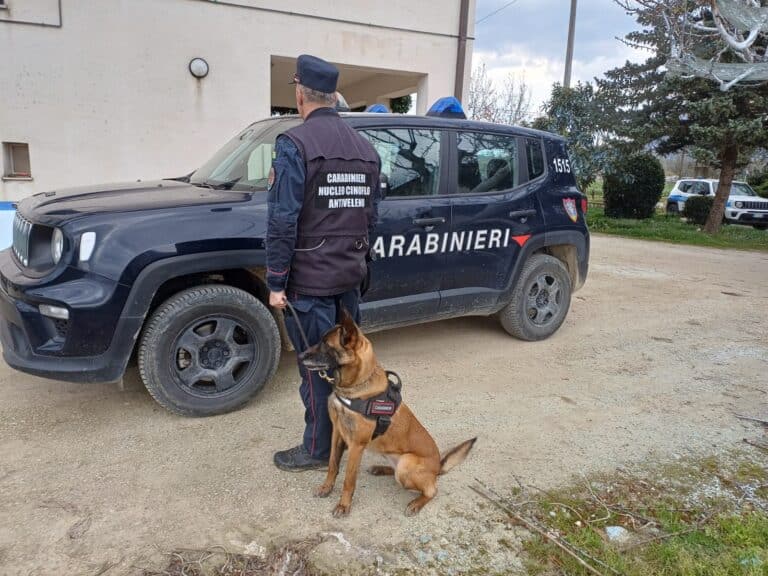 Montone, allarme esche avvelenate: bonificata l’area di Faldo