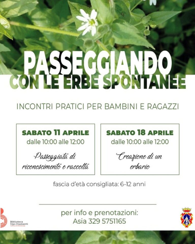 Pietralunga, alla biblioteca laboratori per bambini alla scoperta delle erbe spontanee