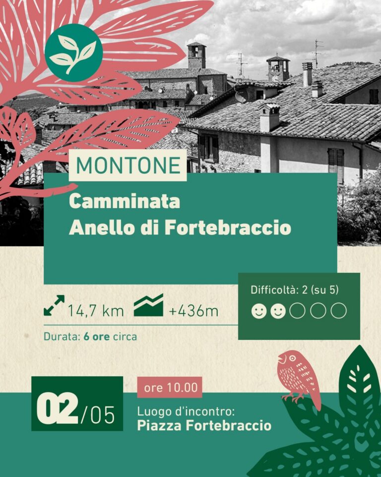 Montone, trekking tra storia e natura con l’“Anello di Fortebraccio”