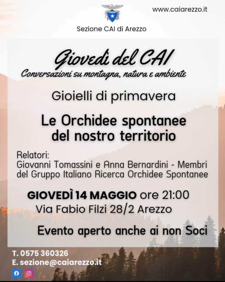Arezzo, il CAI porta alla scoperta delle orchidee spontanee: incontro e uscita sul campo alla Verna